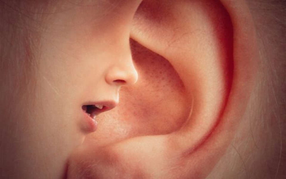 A human ear altered to add a small mouth and nose growing out of part of it. The mouth is open and appears to be whispering into the ear.