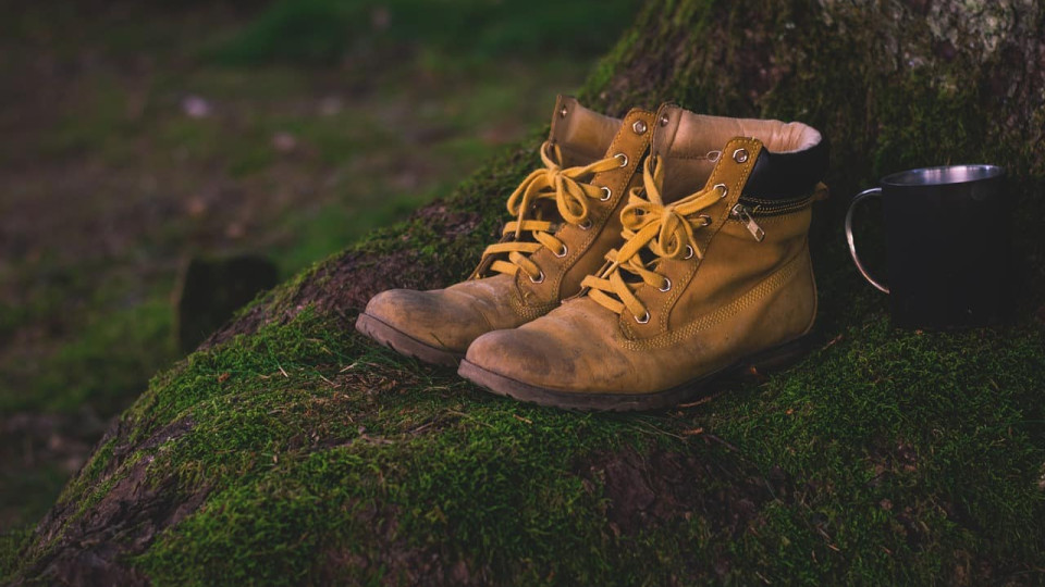 A pair of well-worn hiking boots rest on a moss covered tree stump.