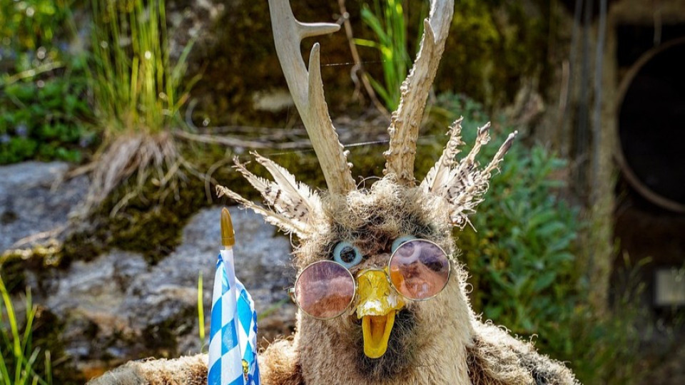 A 'Wolpertinger' with the head of a beaver and the antlers of a deer.